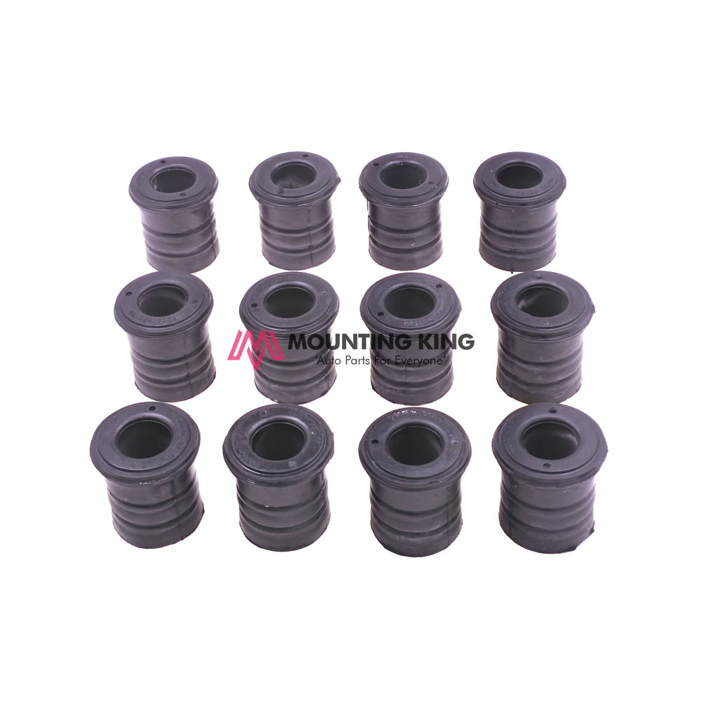 Leaf Spring Bushing Set