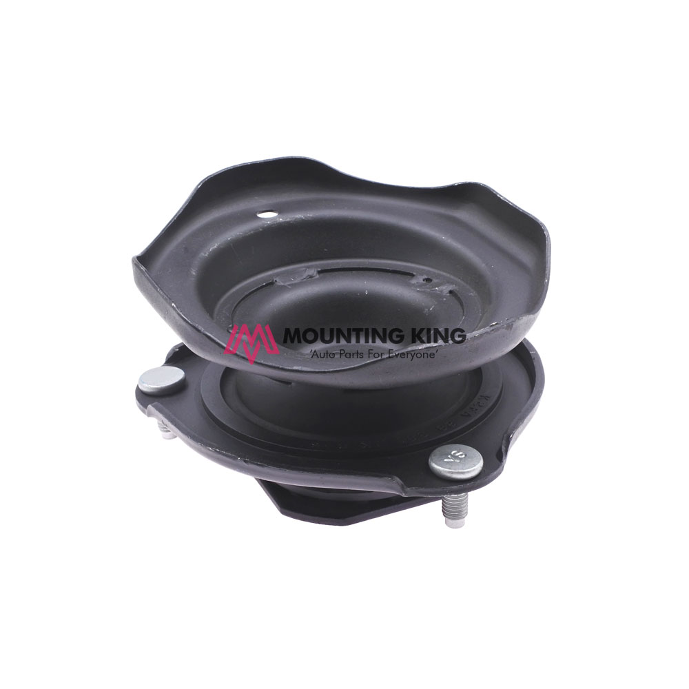 Rear Absorber Mounting