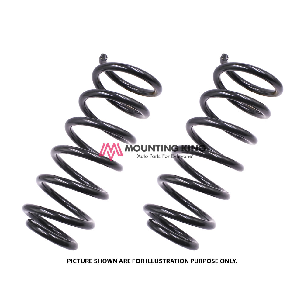 Rear Coil Spring Set