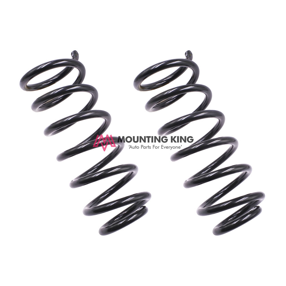 Rear Coil Spring Set